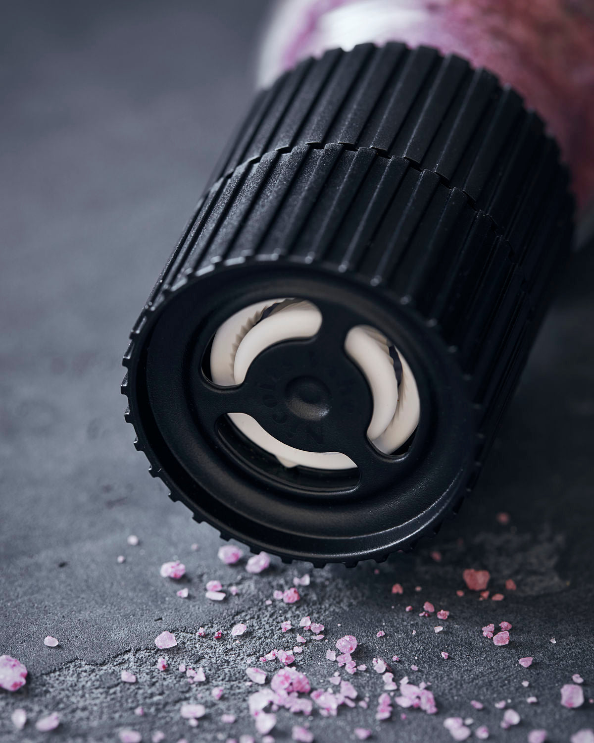 Salt | Red Wine + Bay Leaves