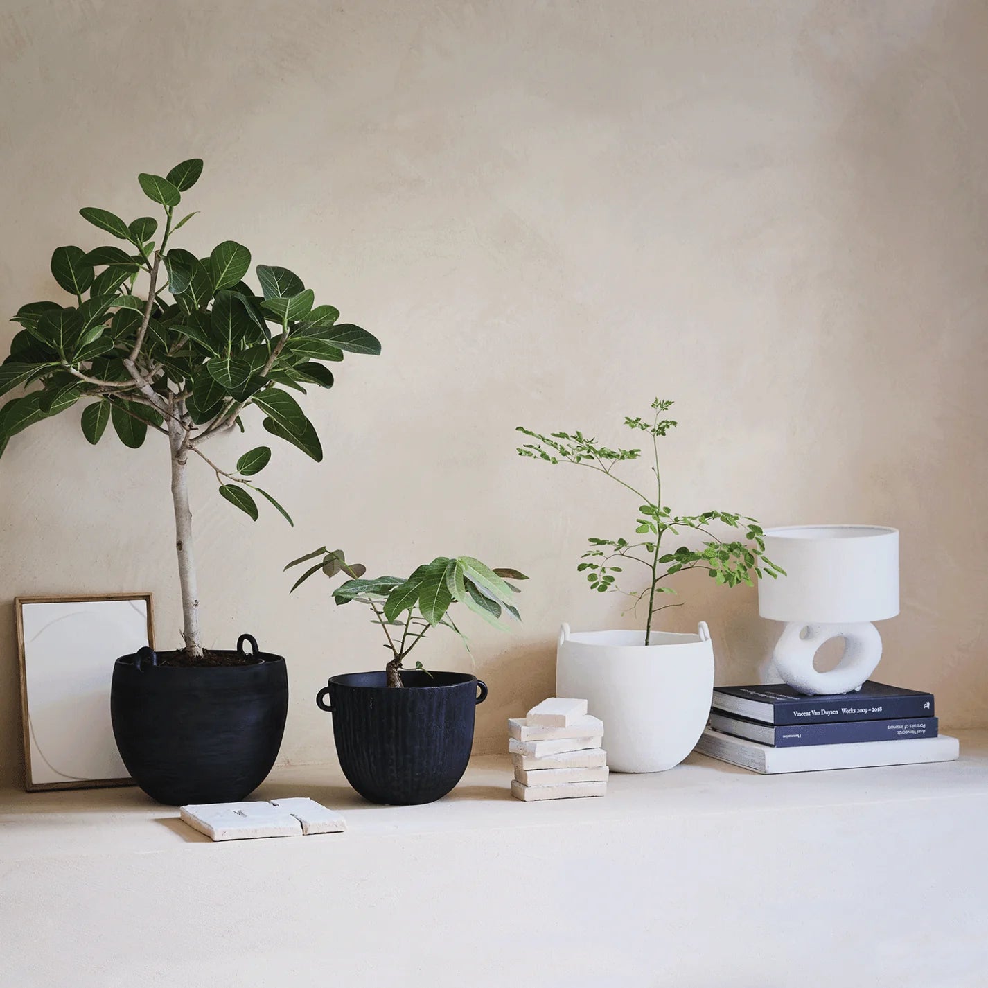 Black Confit Decorative Pot