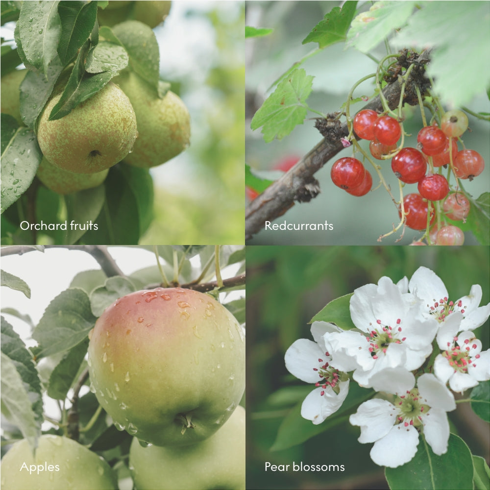 Fjord Mini Hand Cream 30ml