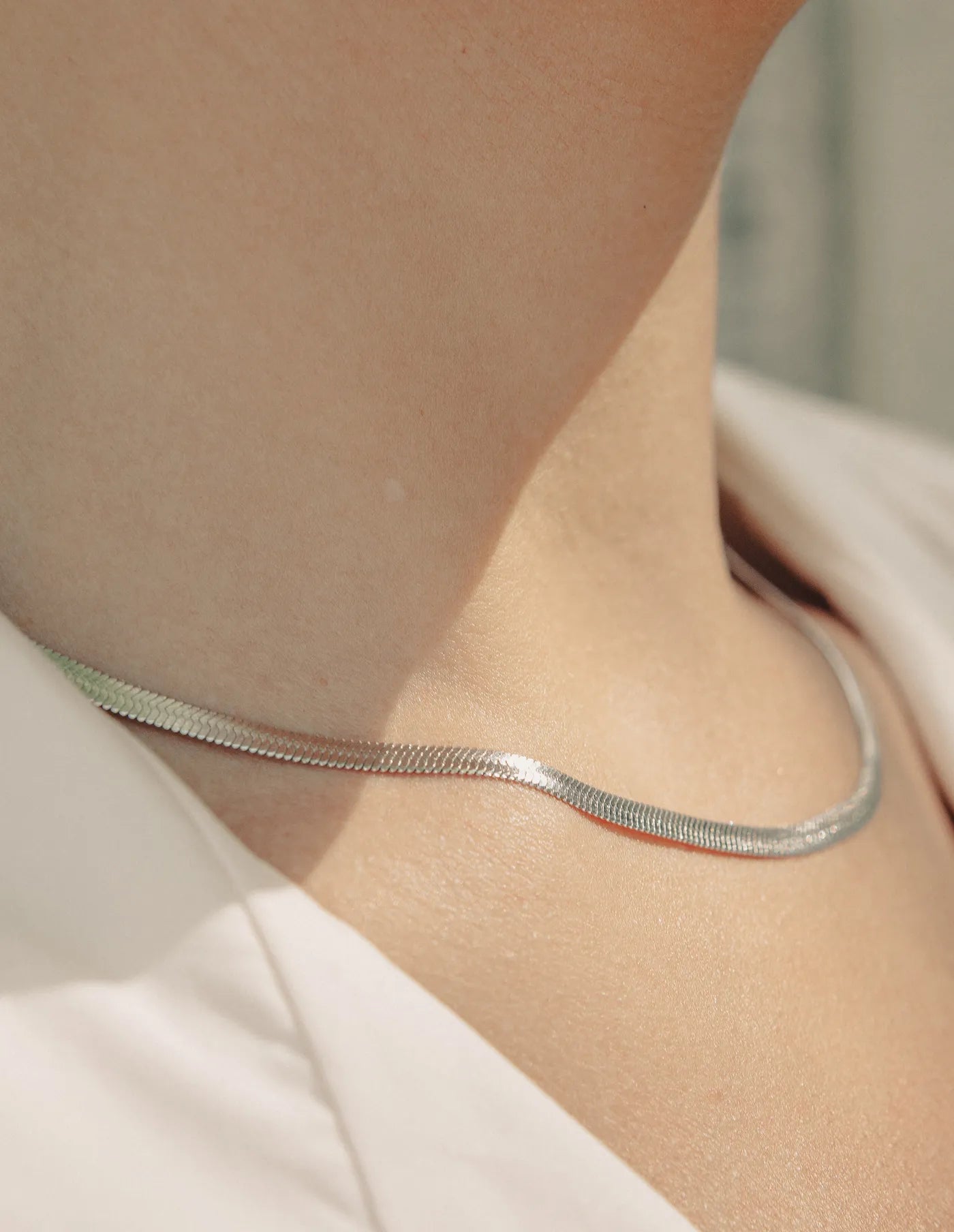 Snake Chain Choker Necklace
