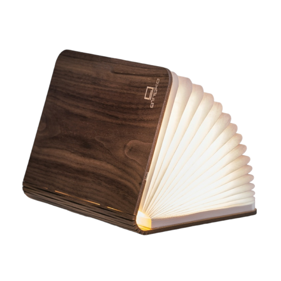 Smart Book Light