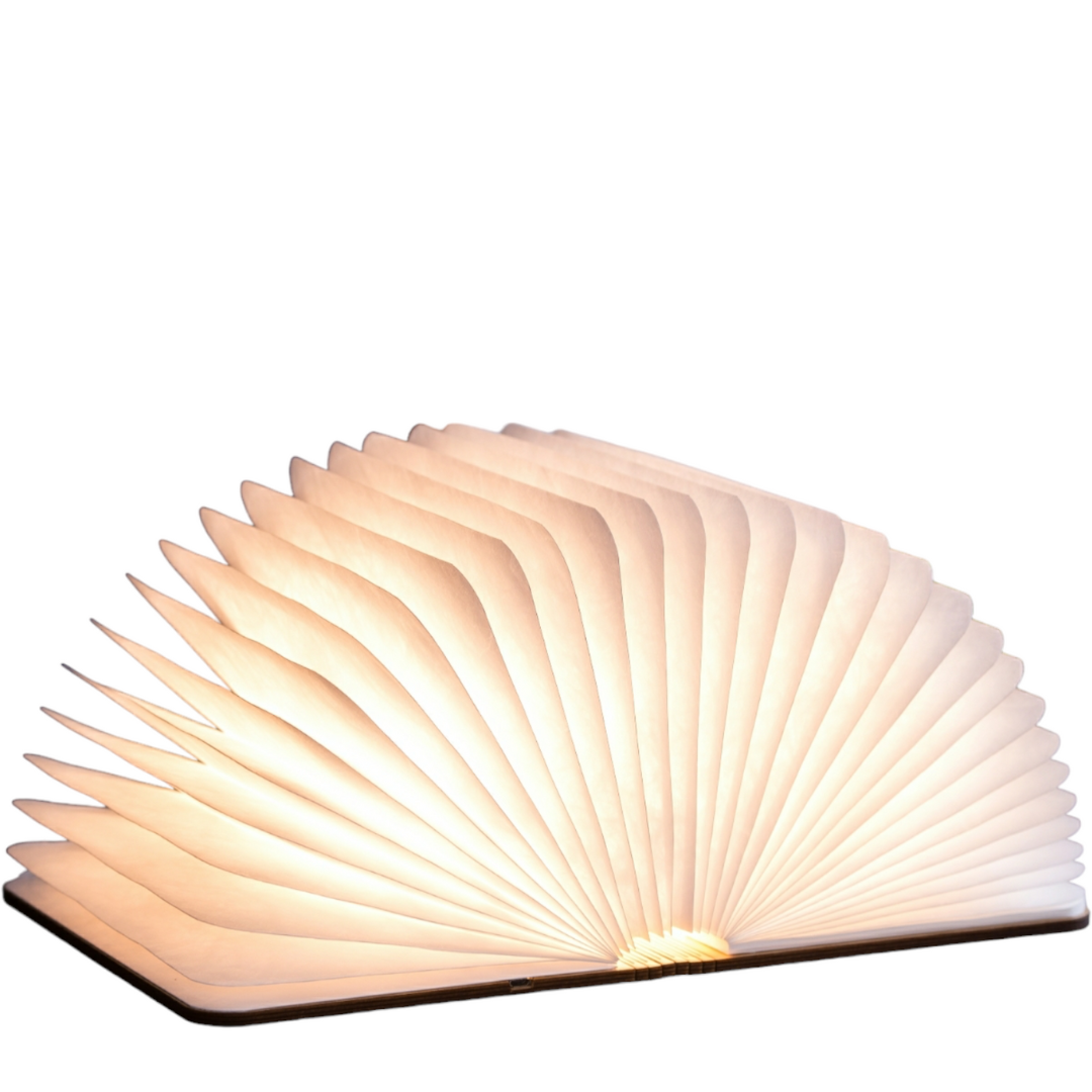Smart Book Light