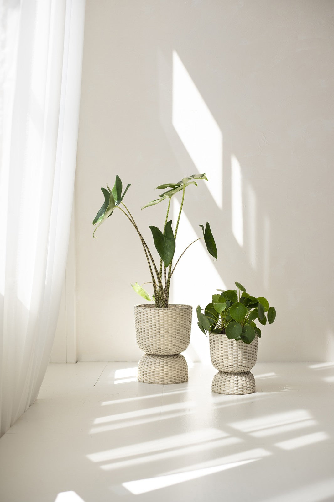 Diabolo Twist Planter Small