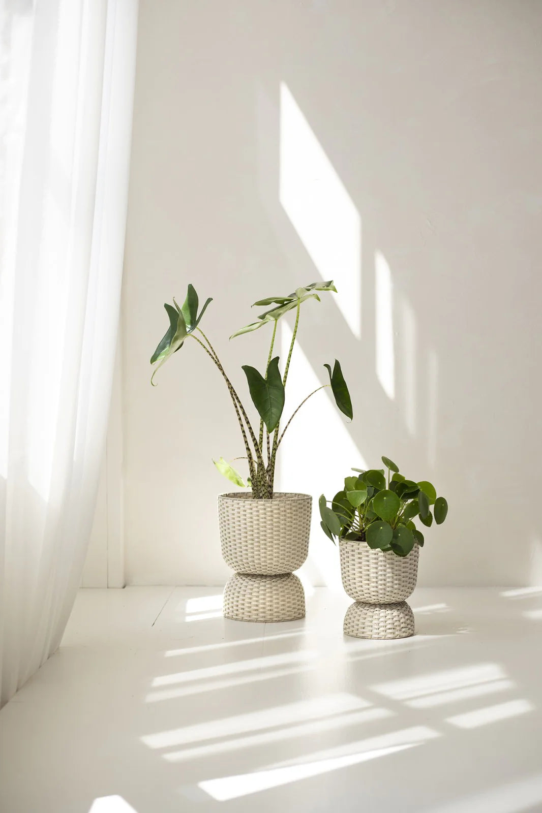 Diabolo Twist Planter Large