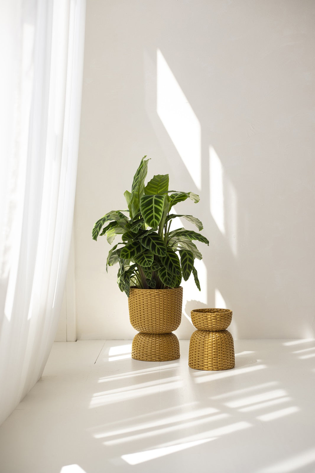 Diabolo Twist Planter Small