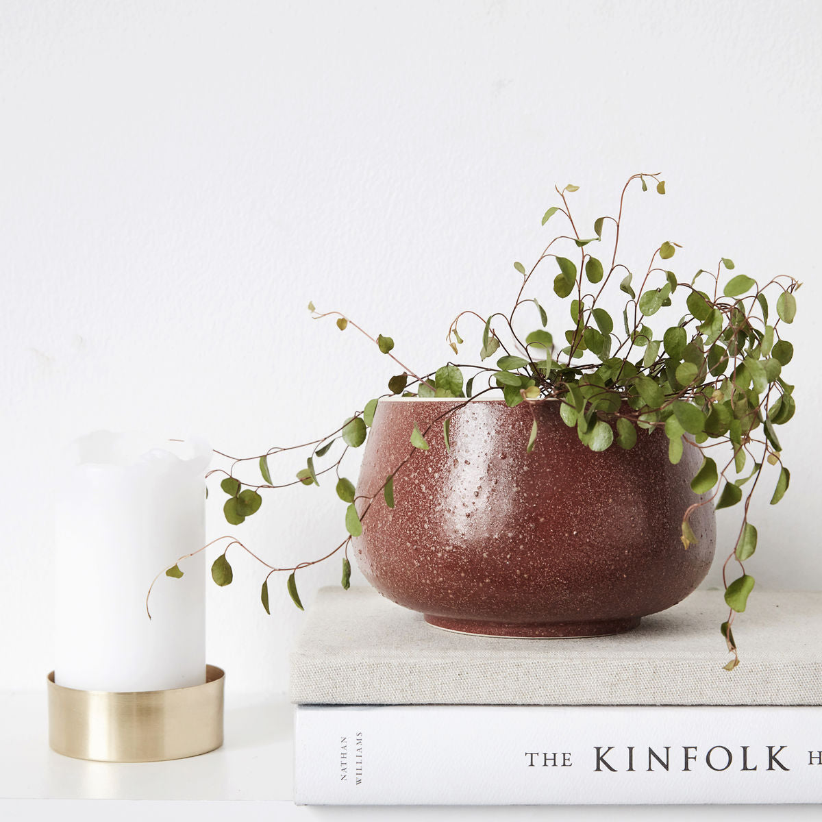 Diva Storage Pot with Brass Lid