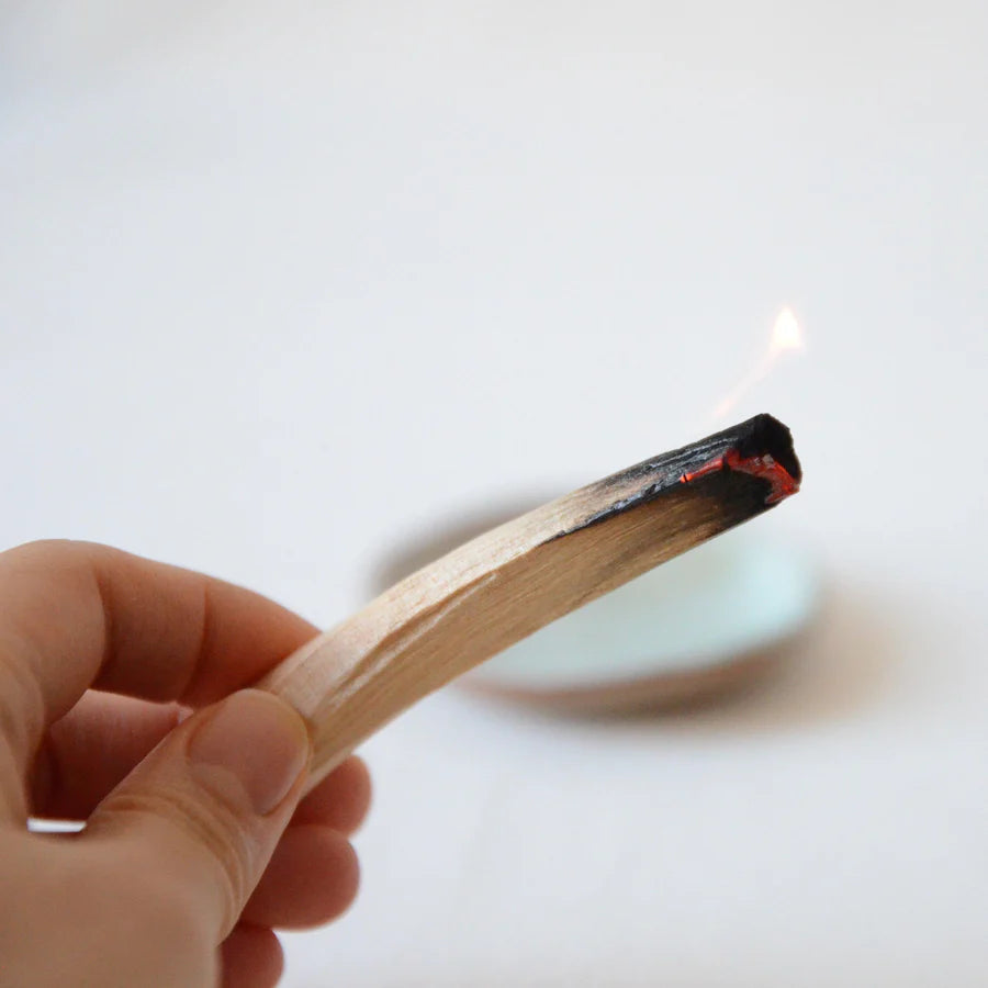 Palo Santo Sticks from Ecuador