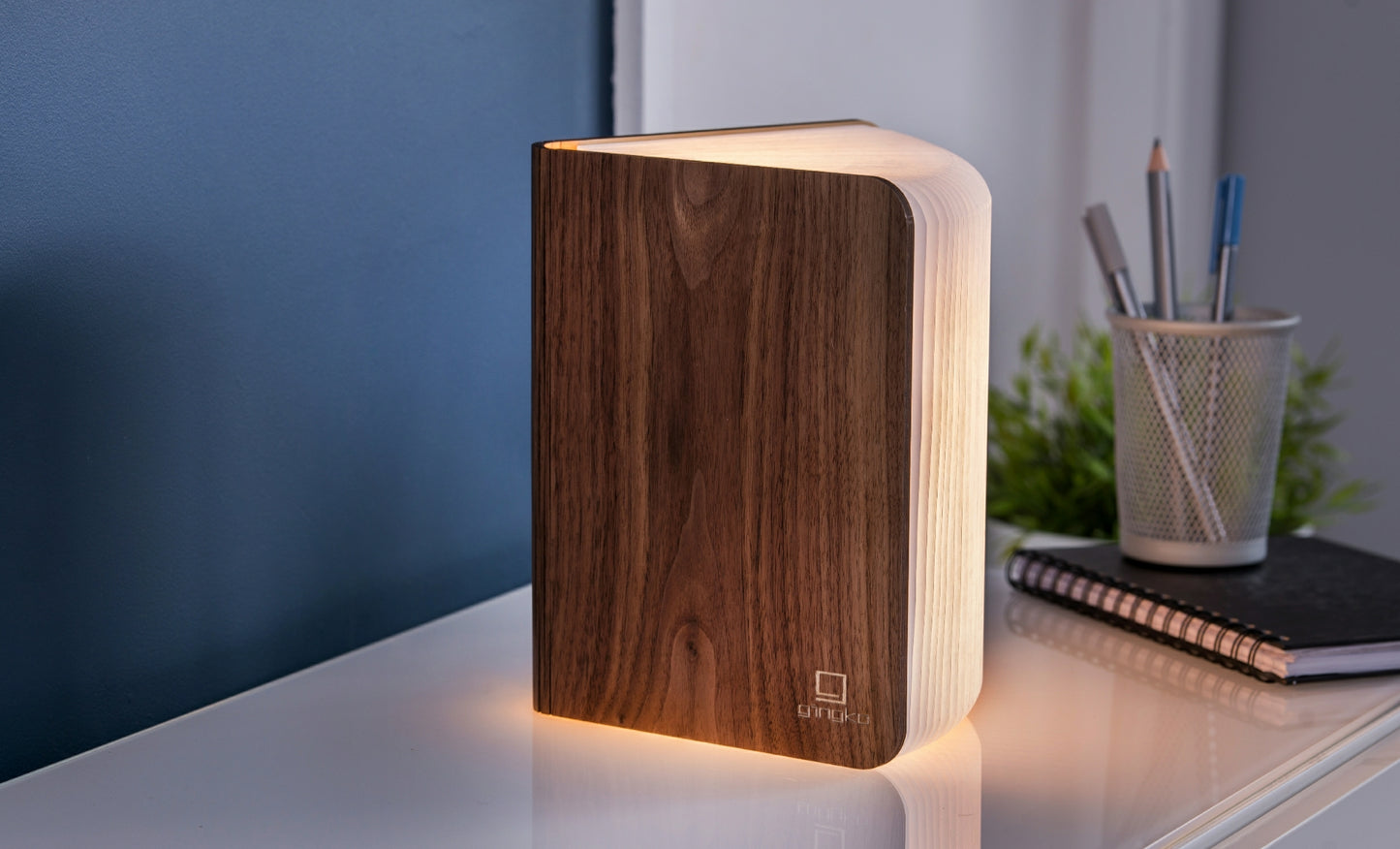 Smart Book Light
