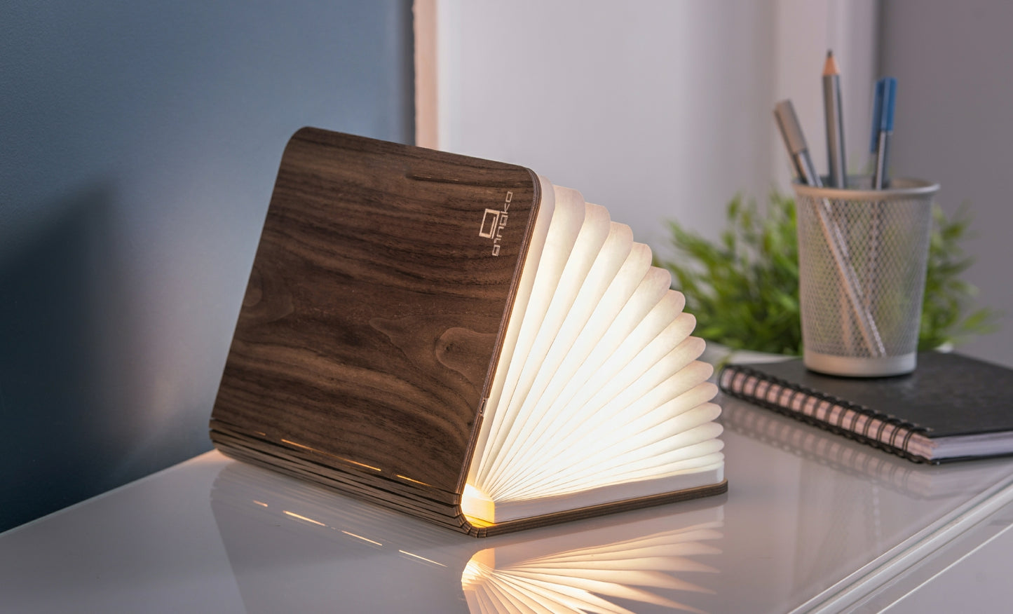 Smart Book Light