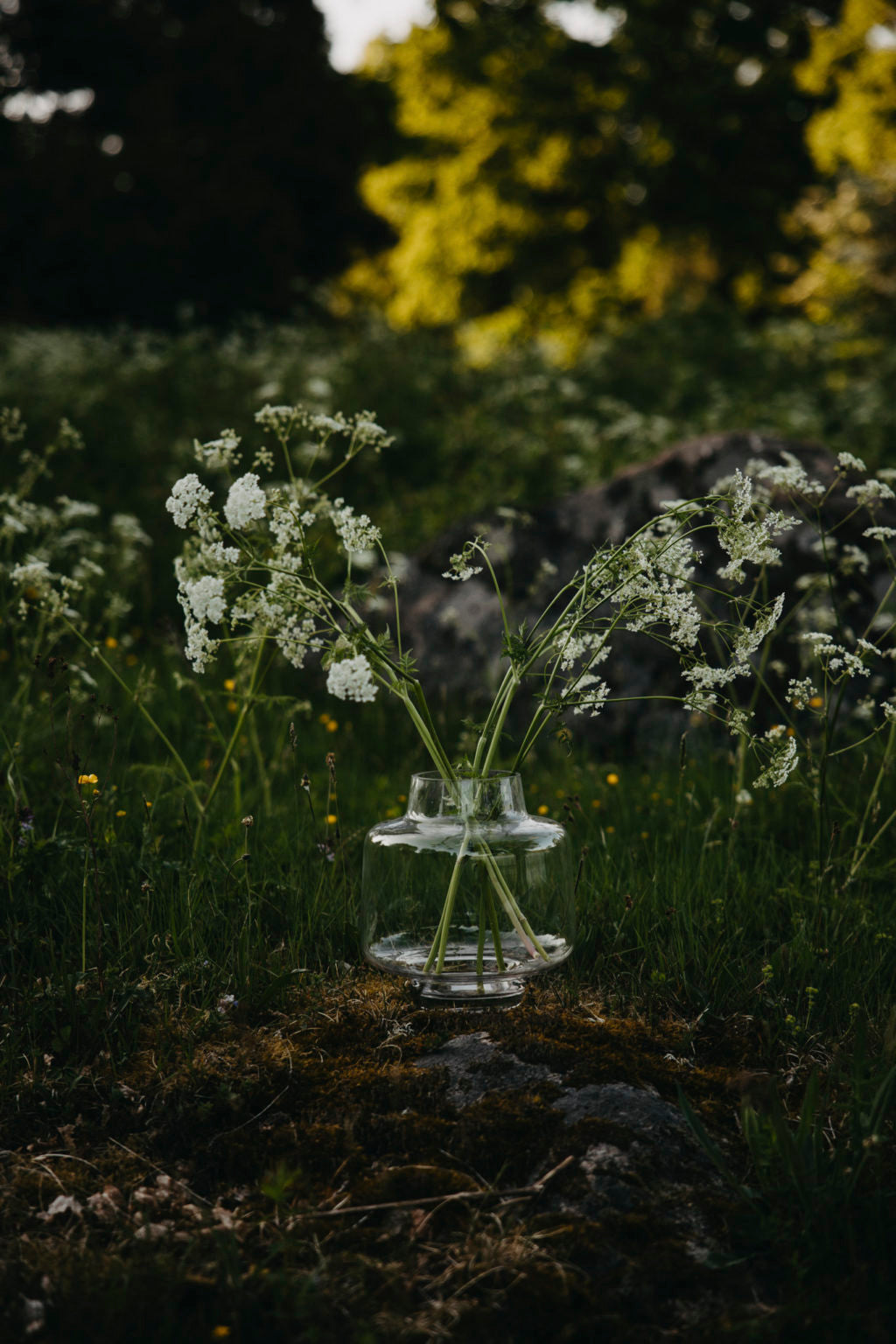 Lovsjö Glass Vase | Storefactory