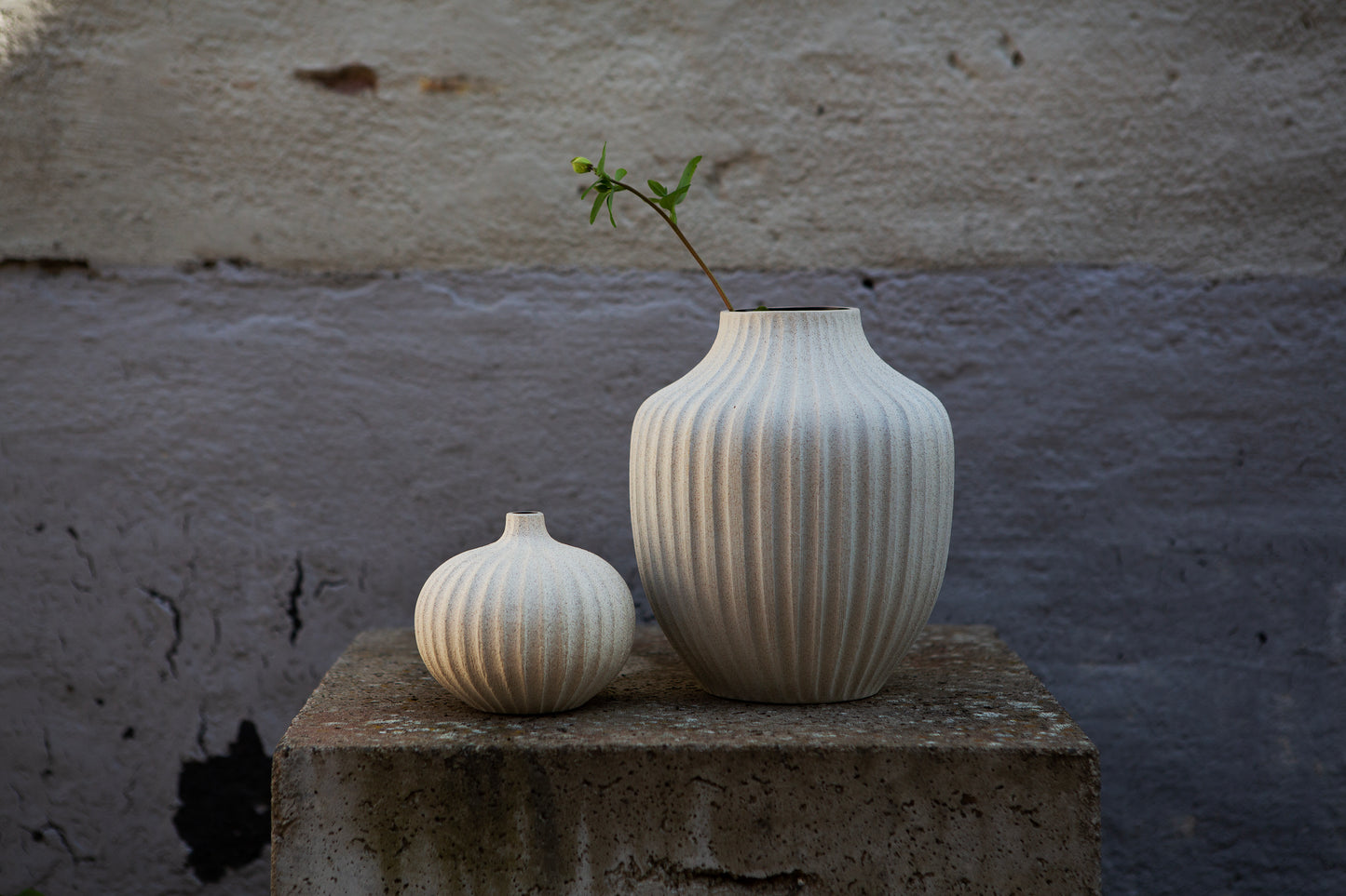 Bari Large Sand White Deep Line Vase