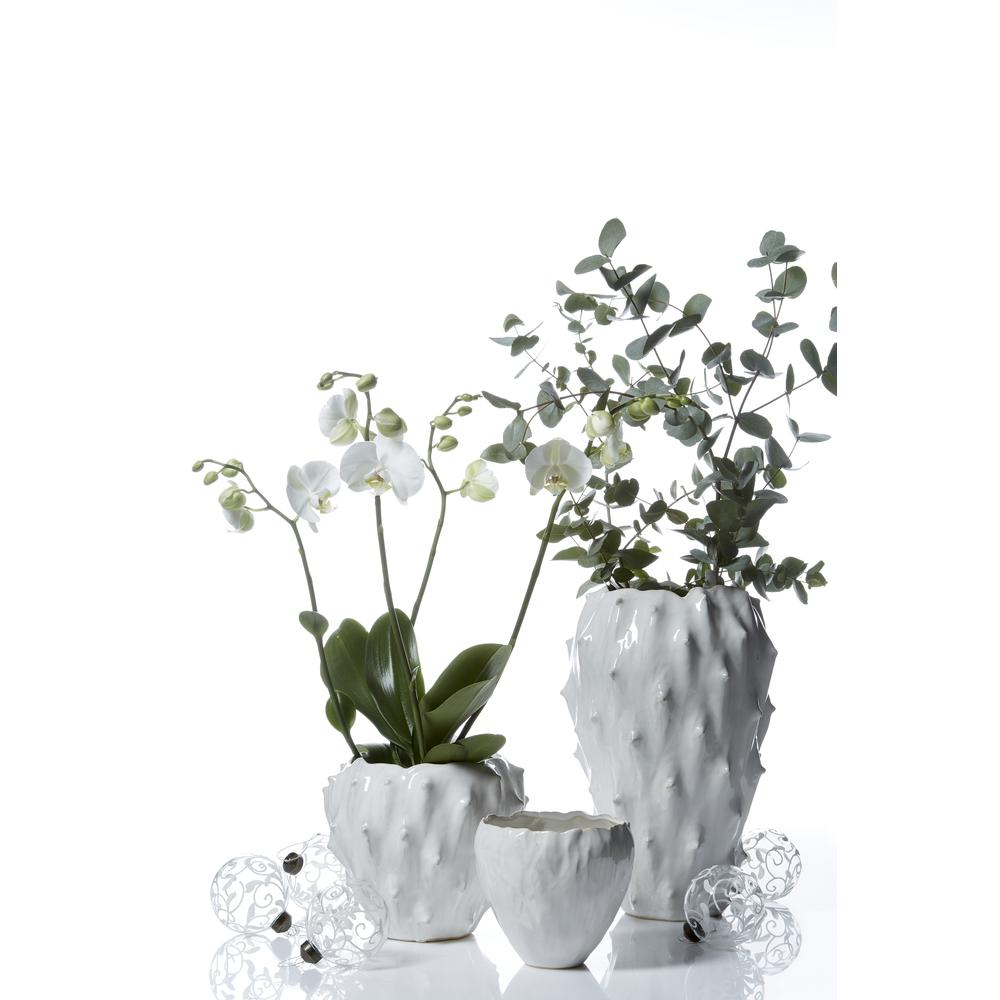 Parisa Plant Pot